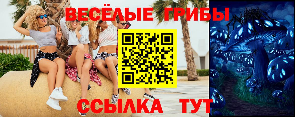 Псилоцибиновые грибы мухоморы  купить наркотики цена  Конаково  Вход с VPN 